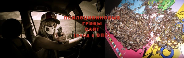 СК Армянск