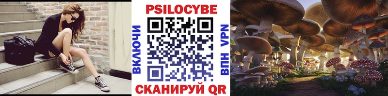 закладка  Белово  Галлюциногенные грибы прущие грибы 